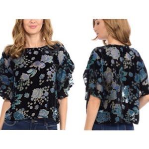 Anthro W5 Sheer Floral & Black Velvet Blouse